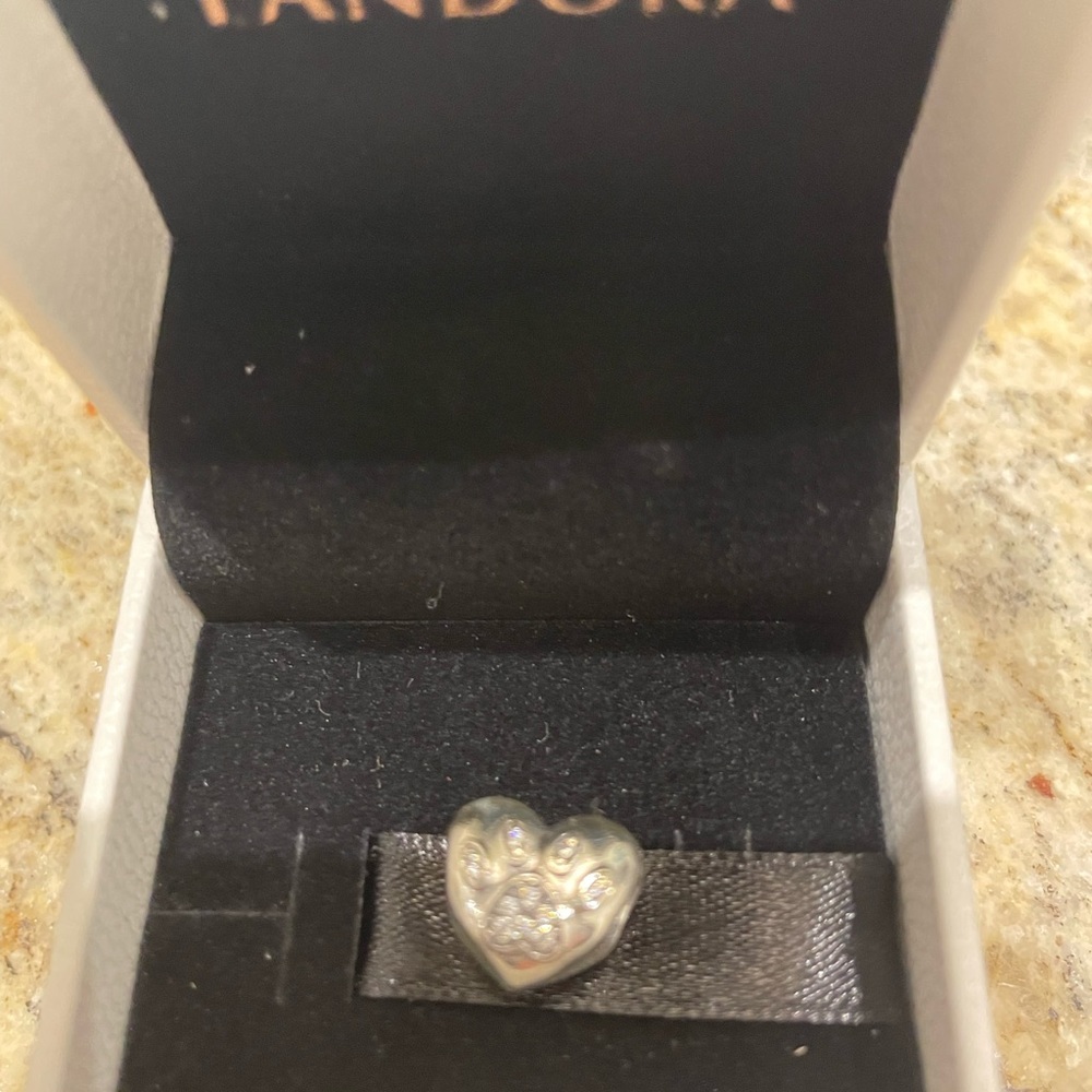Various Pandora charms EUC
